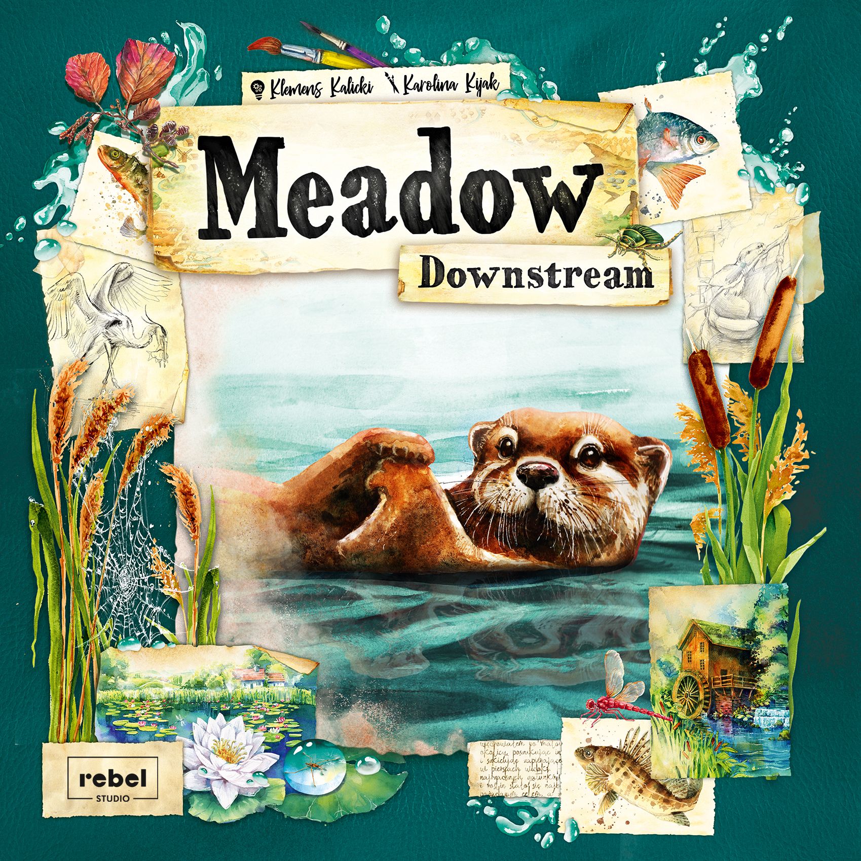 meadow downstream box art