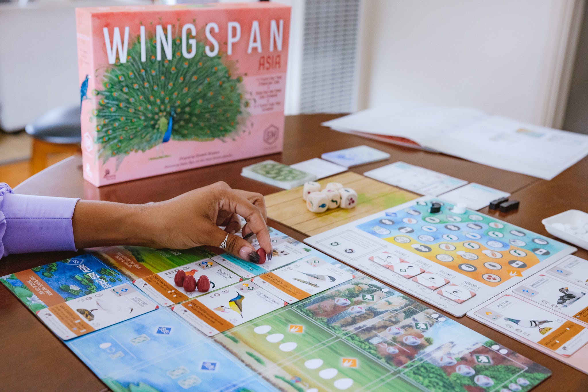 wingspan asia expansion setup on a table